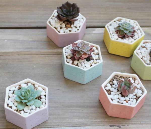 selling ceramic bonsai pots mini multicolor flowerpots home desksucculent planters garden supplies bedroom office decoration
selling ceramic bonsai pots mini multicolor flowerpots home desksucculent planters garden supplies bedroom office decoration