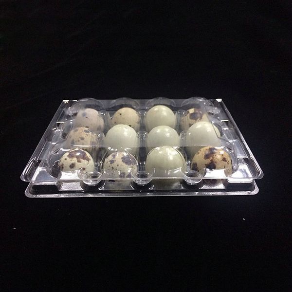 12 holes quail egg containers clear egg boxes plastic package box holder 
12 holes quail egg containers clear egg boxes plastic package box holder