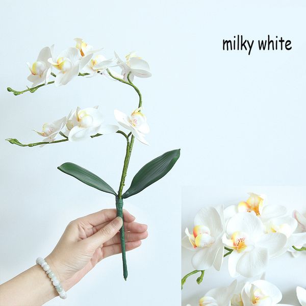 new phalaenopsis with leaf simulation orchid flower artificial leaf wedding decoration for home party table accessory
new phalaenopsis with leaf simulation orchid flower artificial leaf wedding decoration for home party table accessory