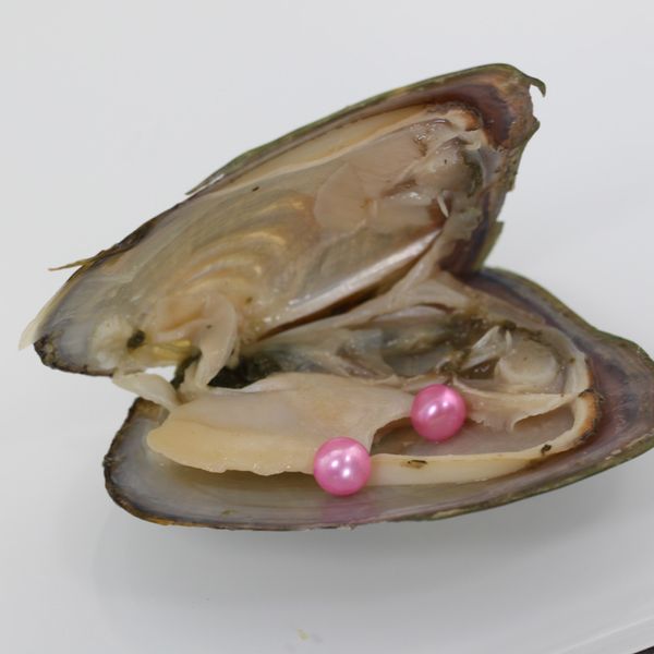 2018 AKOYa ROUND Freshwater Twins Pearls In Oysters 27 Colors Pearls Oyster Pearls With Vacuum-PackingJewelry Christmas Gift Surprise
2018 AKOYa ROUND Freshwater Twins Pearls In Oysters 27 Colors Pearls Oyster Pearls With Vacuum-PackingJewelry Christmas Gift Surprise