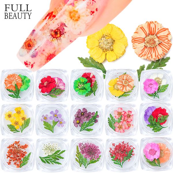 1 box real dried flowers leaf diy nail art decorations summer blossom camellia babysbreath tips nails decals 29 types chfl01-29, Silver;gold
1 box real dried flowers leaf diy nail art decorations summer blossom camellia babysbreath tips nails decals 29 types chfl01-29, Silver;gold