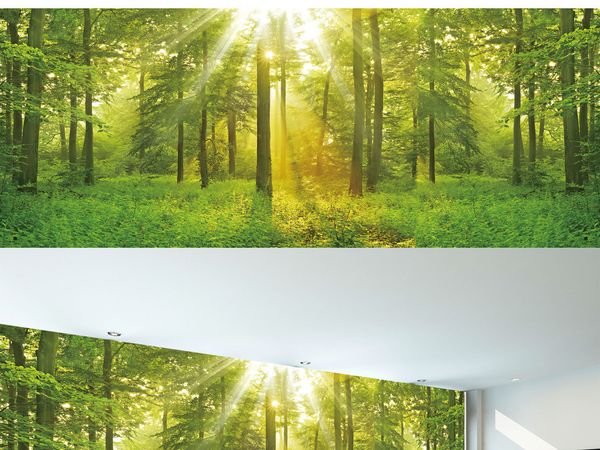 custom 3d wallpaper for walls 3d p wallpaper murals hd processing of forest full scene wall painting wall paper landscape room wallpaper
custom 3d wallpaper for walls 3d p wallpaper murals hd processing of forest full scene wall painting wall paper landscape room wallpaper