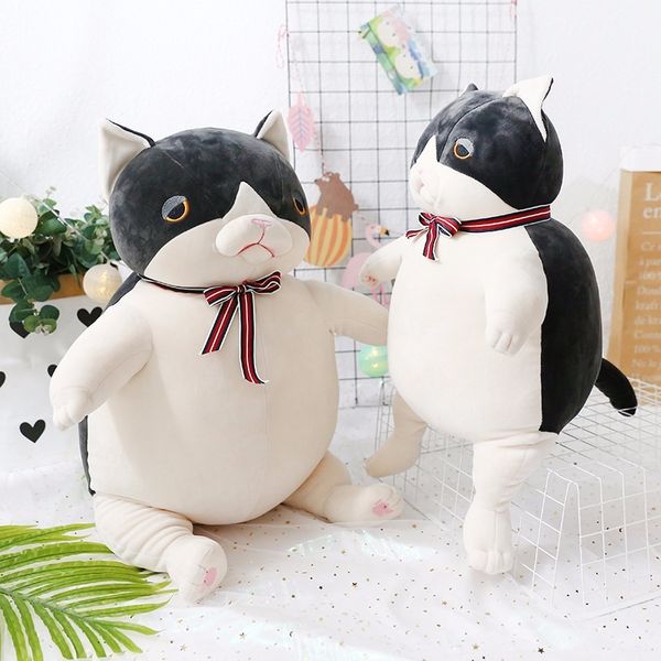 toy down cotton soft kungfu cat pillow doll lazy cat personality creative cute soft cuteness
toy down cotton soft kungfu cat pillow doll lazy cat personality creative cute soft cuteness