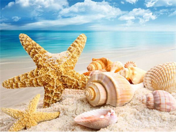 diy diamond painting cross stitch kit rhinestone full round diamond embroidery scenery seaside starfish conch home mosaic decoration yx4067
diy diamond painting cross stitch kit rhinestone full round diamond embroidery scenery seaside starfish conch home mosaic decoration yx4067