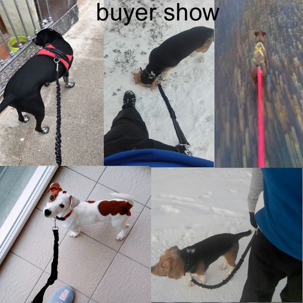 eco-friendly pet dog запуск поводки руки свободно great для walking dog поводка веревки с отражающей беговой ошейники собак поводок
eco-friendly pet dog запуск поводки руки свободно great для walking dog поводка веревки с отражающей беговой ошейники собак поводок