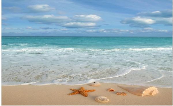floor painting 3d wallpaper 3d beach surf starfish conch bathroom floor painting mural-3d pvc wallpaper self-adhesive floor wallpaper-3d
floor painting 3d wallpaper 3d beach surf starfish conch bathroom floor painting mural-3d pvc wallpaper self-adhesive floor wallpaper-3d
