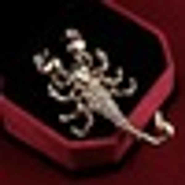 hesiod fashion jewelry wholesale crystal brooch pin vivid scorpion rhinestone collar brooches dress decoration, Gray
hesiod fashion jewelry wholesale crystal brooch pin vivid scorpion rhinestone collar brooches dress decoration, Gray