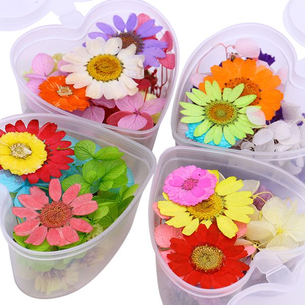 colorful dried flower nail art preserved flower with heart-shaped box 3d nail art decoration diy manicure uv gel polish, Silver;gold
colorful dried flower nail art preserved flower with heart-shaped box 3d nail art decoration diy manicure uv gel polish, Silver;gold