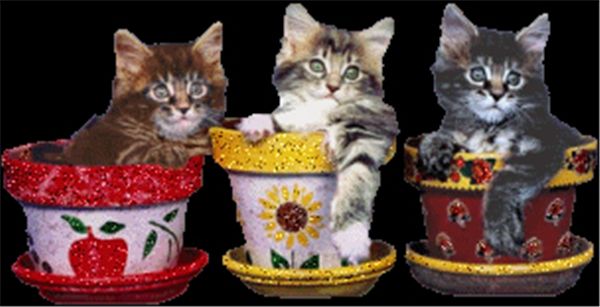 diy diamond painting cross stitch kit rhinestone mosaic home decoration animal three cats painting full square diamond embroidery zxh1361
diy diamond painting cross stitch kit rhinestone mosaic home decoration animal three cats painting full square diamond embroidery zxh1361