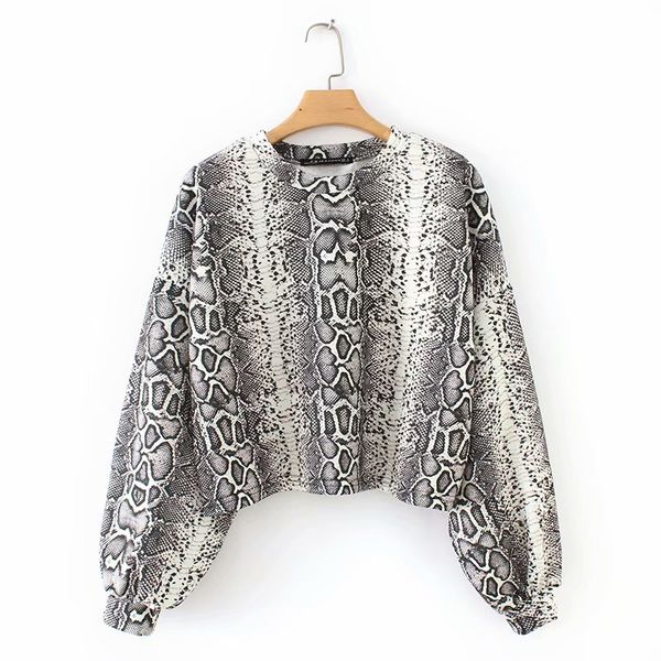 new fashion women vintage lantern sleeve snake skin print loose hoodies casual pullovers ladies chic sweatshirts h036, Black
new fashion women vintage lantern sleeve snake skin print loose hoodies casual pullovers ladies chic sweatshirts h036, Black