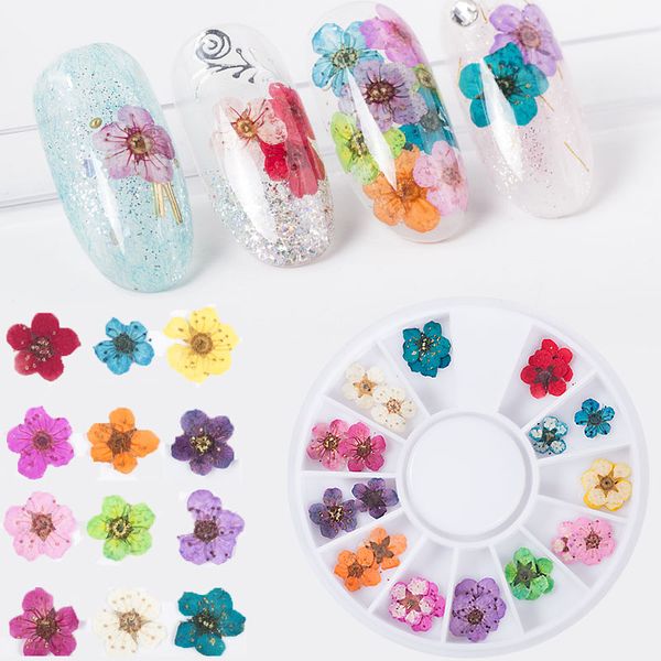 12 colors/wheel real natural dried dry nail art flower tips 3d diy uv gel nail polish manicure decoration accessories tools, Silver;gold
12 colors/wheel real natural dried dry nail art flower tips 3d diy uv gel nail polish manicure decoration accessories tools, Silver;gold