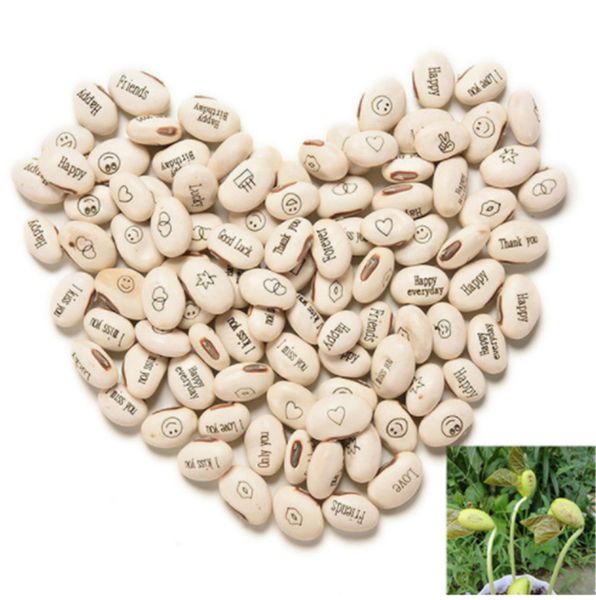 Sementes ymhzdy 
Sementes ymhzdy