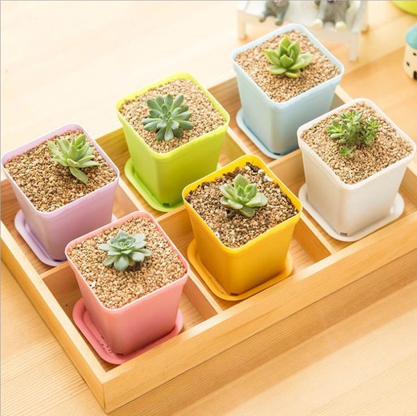 Mini Square Plastic Plant Pot Home Office Decor Planter With Pots Trays Green Plant Artificial 10 Colors
Mini Square Plastic Plant Pot Home Office Decor Planter With Pots Trays Green Plant Artificial 10 Colors