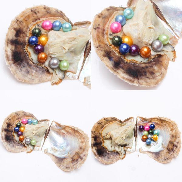 south sea pearl oyster 2018 new round 6-7mm colors seawater natural cultured in fresh oyster pearl mussel farm supply wholesale, White
south sea pearl oyster 2018 new round 6-7mm colors seawater natural cultured in fresh oyster pearl mussel farm supply wholesale, White