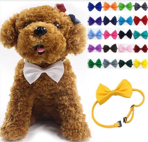 wholesale 100pcs/lot pet headdress dog neck tie dog bow tie cat tie pet grooming supplies multicolor
wholesale 100pcs/lot pet headdress dog neck tie dog bow tie cat tie pet grooming supplies multicolor