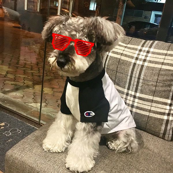 Puppy Pet Clothes Tide Brand Clothes t-Shirt Dog Cats Law Fighting Stupid Teddy Schnauzer Puppy Puppies Summer Season
Puppy Pet Clothes Tide Brand Clothes t-Shirt Dog Cats Law Fighting Stupid Teddy Schnauzer Puppy Puppies Summer Season