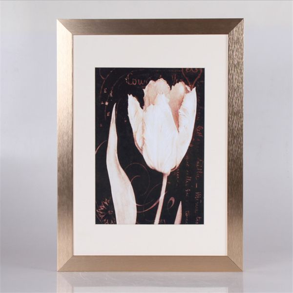 50*70cm customized aluminum p frame/customer design p bracket /gifts p frame with 6 frame colors (e09a15 h18mm w29mm
50*70cm customized aluminum p frame/customer design p bracket /gifts p frame with 6 frame colors (e09a15 h18mm w29mm