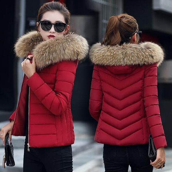2018 winter new short large fur collar cotton female korean version of the slim slimming cotton down jacket, Black
2018 winter new short large fur collar cotton female korean version of the slim slimming cotton down jacket, Black