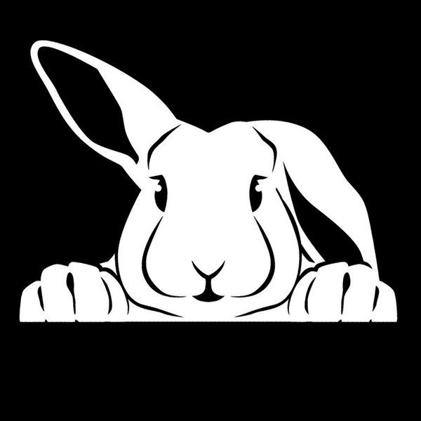 15*11cm peeking bunny cute rabbit vinyl indoor outdoor decal car accessories vinyl car wrap decor decals
15*11cm peeking bunny cute rabbit vinyl indoor outdoor decal car accessories vinyl car wrap decor decals