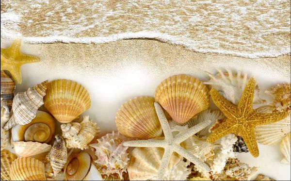 luxury floor wallpaper beach wave starfish conch 3d stylish floor wall paper rolls
luxury floor wallpaper beach wave starfish conch 3d stylish floor wall paper rolls