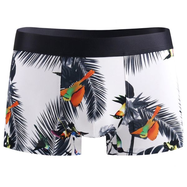 mesh ice silk modal men's boxer shorts underwear boxers hollow out calzoncillos men plus size underpants, Black;white
mesh ice silk modal men's boxer shorts underwear boxers hollow out calzoncillos men plus size underpants, Black;white