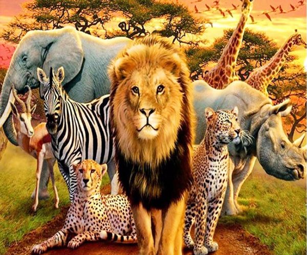 full square/round drill 5d diy diamond painting "animal world" embroidery cross stitch mosaic home decor art experience toys gift
full square/round drill 5d diy diamond painting "animal world" embroidery cross stitch mosaic home decor art experience toys gift