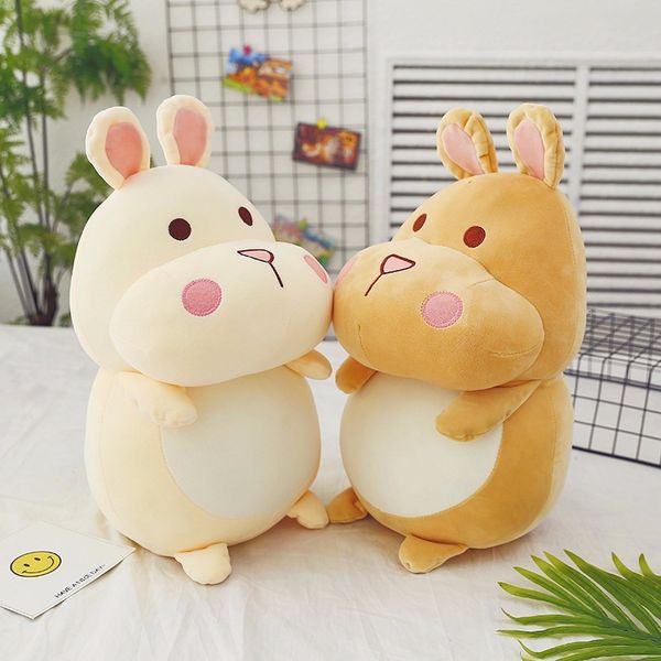 cute pet plush toy hamster litter box pillow birthday gift valentine's day gift for children
cute pet plush toy hamster litter box pillow birthday gift valentine's day gift for children