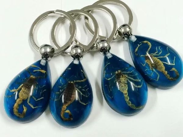 yqtdmy 21 pcs gold scorpion insect fashion blue drop specimens keychain car key rings, Slivery;golden
yqtdmy 21 pcs gold scorpion insect fashion blue drop specimens keychain car key rings, Slivery;golden