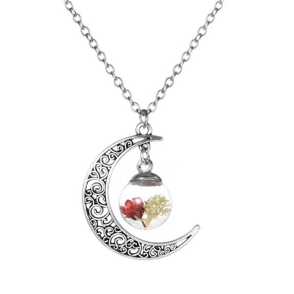 sale dried flower glass bottle moon necklace jewelry fashion silver color chain crescent statement necklace wholesale
sale dried flower glass bottle moon necklace jewelry fashion silver color chain crescent statement necklace wholesale