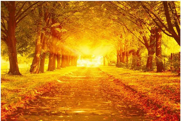 custom p wallpaper ktv original gold floor gold avenue tv background wall tv background 3d mural wall paper
custom p wallpaper ktv original gold floor gold avenue tv background wall tv background 3d mural wall paper