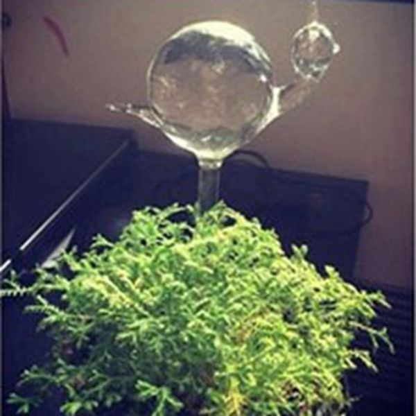 creativity automatic plant watering device glass swan shape watering household garden flower plant waterers drip irrigation tool
creativity automatic plant watering device glass swan shape watering household garden flower plant waterers drip irrigation tool