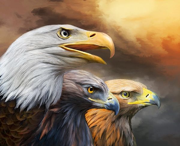 a2200 hawk 37*30 5d diy diamond embroidery painting home decor diamond crossing stitch 100% resin tool dril painting mosaic needlework
a2200 hawk 37*30 5d diy diamond embroidery painting home decor diamond crossing stitch 100% resin tool dril painting mosaic needlework