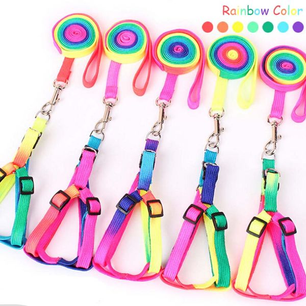 nylon pretty animals accessories dog moscota dogs harness pet supplies breast-band dog belt adjustable collar for puppy leash
nylon pretty animals accessories dog moscota dogs harness pet supplies breast-band dog belt adjustable collar for puppy leash