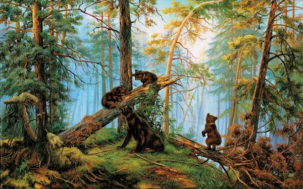 a2158 animalforest 80*50 5d diamond embroidery painting home decor diamond crossing stitch 100% resin tool dril painting mosaic needlework
a2158 animalforest 80*50 5d diamond embroidery painting home decor diamond crossing stitch 100% resin tool dril painting mosaic needlework