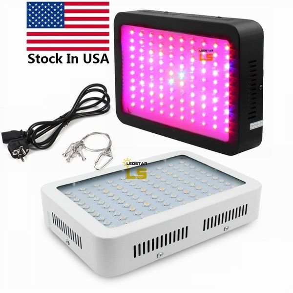 1000w 1200w led grow light recommeded high cost-effective double chips full spectrum led grow lights for hydroponic systems
1000w 1200w led grow light recommeded high cost-effective double chips full spectrum led grow lights for hydroponic systems