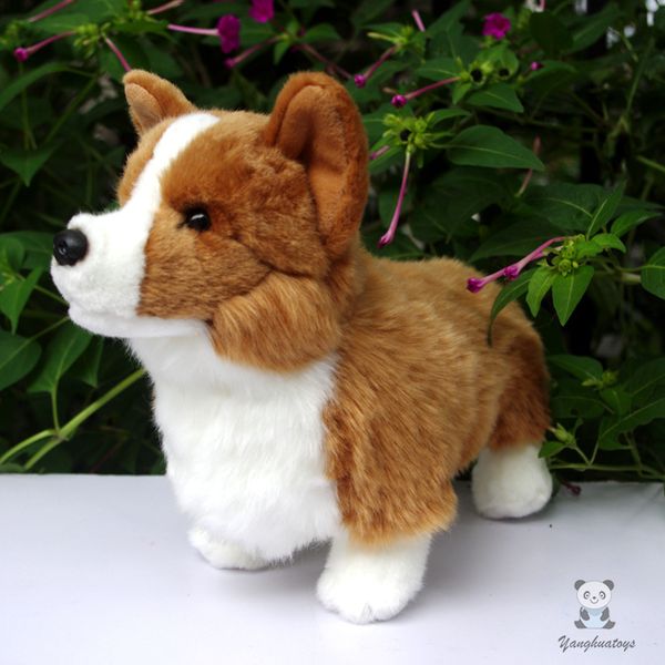 latest stuffed animal standing dogs simulation corgi doll children's toy plush crown toys gifts
latest stuffed animal standing dogs simulation corgi doll children's toy plush crown toys gifts