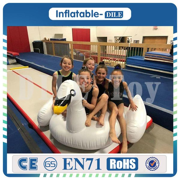 11x2x0.2m Inflatable Air Track Tumbling Gymnastics Training Pad Gym Mat Taekwondo Air Cushion