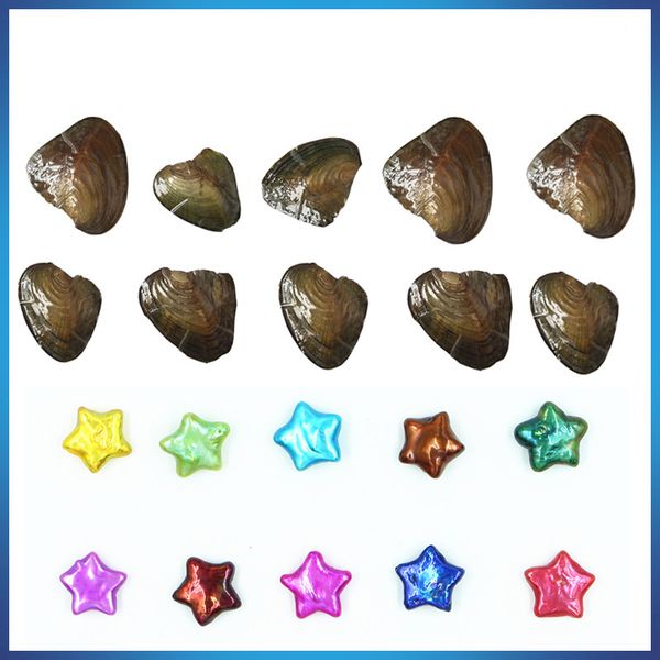 wholesale new product 8-10mm five-pointed star pearl in freshwater oyster shell for diy jewelry for big surprise gift women party, White
wholesale new product 8-10mm five-pointed star pearl in freshwater oyster shell for diy jewelry for big surprise gift women party, White