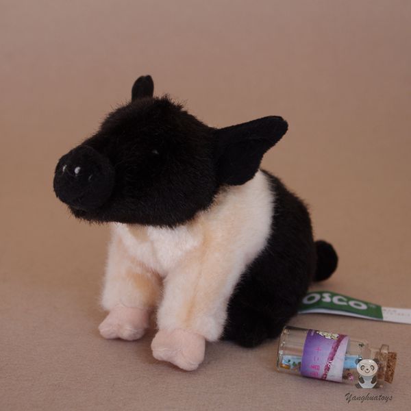 панамский свинья кукла плюшевые игрушки моделирования животных pet игрушки дети подарки на день рождения хорошее качество
панамский свинья кукла плюшевые игрушки моделирования животных pet игрушки дети подарки на день рождения хорошее качество