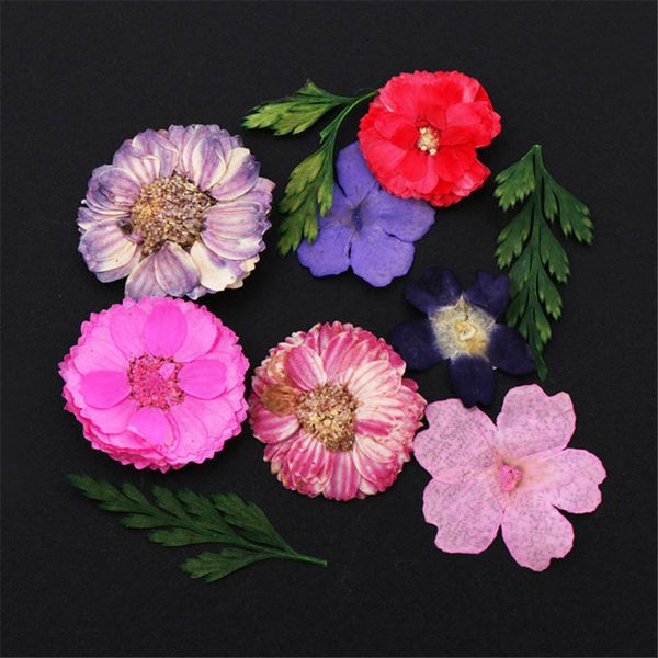 12 colors/box natural nail dry flowers dedroogde bloemen diy 3d nail art decoration rhinestone glitter for manicure, Silver;gold
12 colors/box natural nail dry flowers dedroogde bloemen diy 3d nail art decoration rhinestone glitter for manicure, Silver;gold