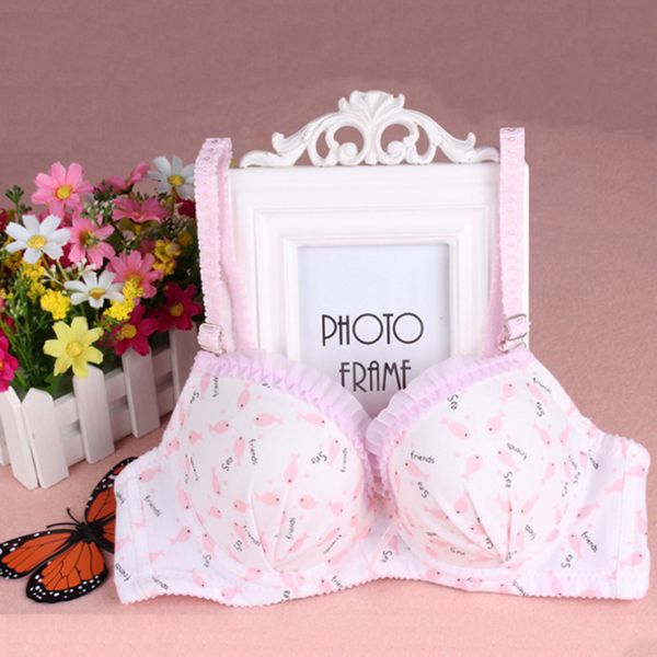 2017 new cute women small underwire bra push up young girl fashion bras lingerie underwear 34 36 38 a cup, Red;black
2017 new cute women small underwire bra push up young girl fashion bras lingerie underwear 34 36 38 a cup, Red;black