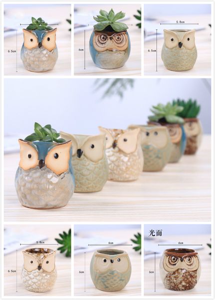 new fleshy pottery animal owl thumb thick flower pots home office decoration succulent plant creative ceramic art
new fleshy pottery animal owl thumb thick flower pots home office decoration succulent plant creative ceramic art