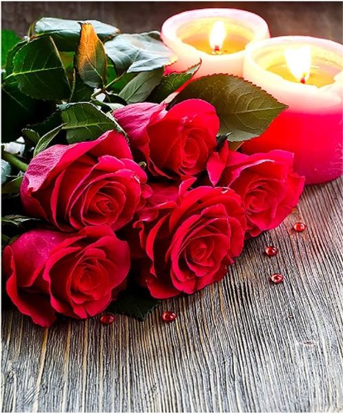 full square/round drill 5d diy diamond painting "rose" embroidery cross stitch mosaic home decor art experience toys gift a0184
full square/round drill 5d diy diamond painting "rose" embroidery cross stitch mosaic home decor art experience toys gift a0184