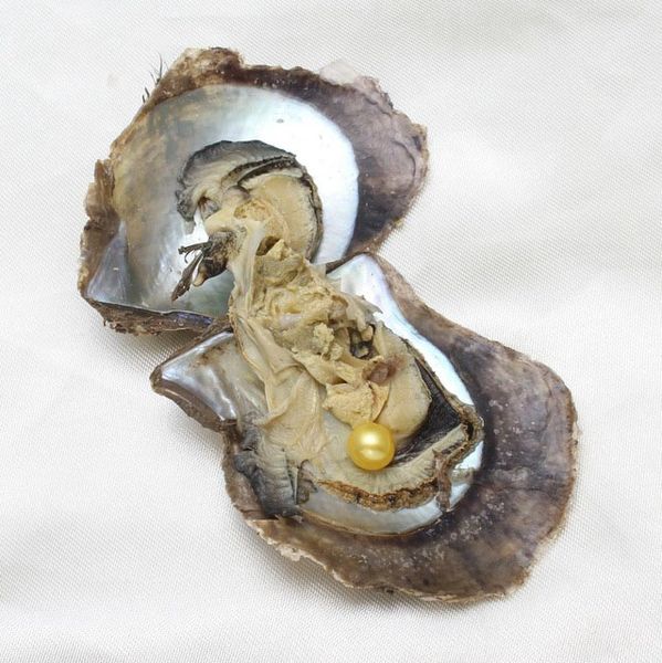2020 diy 6-7mm round akoya pearls oyster,27 mixed colors natural grade oyster mussel jewelry making trend gift surprise, White
2020 diy 6-7mm round akoya pearls oyster,27 mixed colors natural grade oyster mussel jewelry making trend gift surprise, White