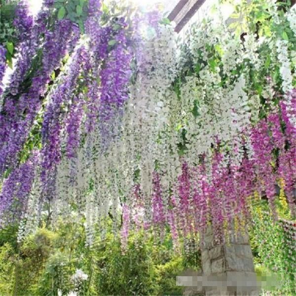 Romantic Artificial Flowers Simulation Wisteria Vine Wedding Decorations Long Short Silk Plant Bouquet Room Office Garden Bridal Accessories
Romantic Artificial Flowers Simulation Wisteria Vine Wedding Decorations Long Short Silk Plant Bouquet Room Office Garden Bridal Accessories