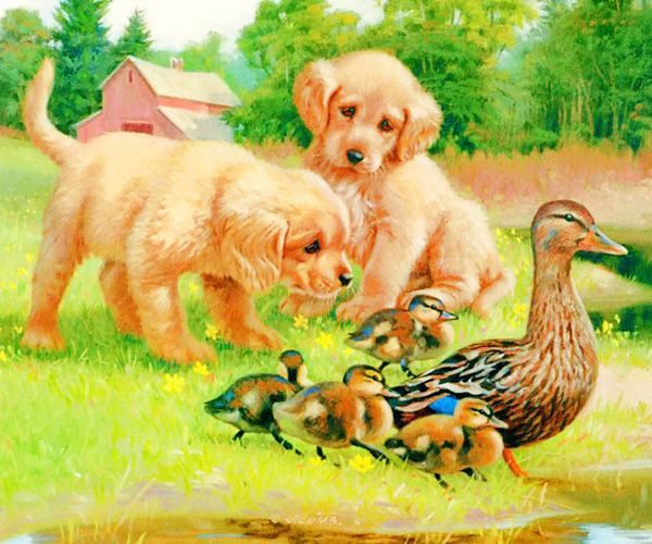 a1949 dog 30*25 5d diy diamond embroidery painting home decor diamond crossing stitch 100% resin tool dril painting mosaic needlework
a1949 dog 30*25 5d diy diamond embroidery painting home decor diamond crossing stitch 100% resin tool dril painting mosaic needlework