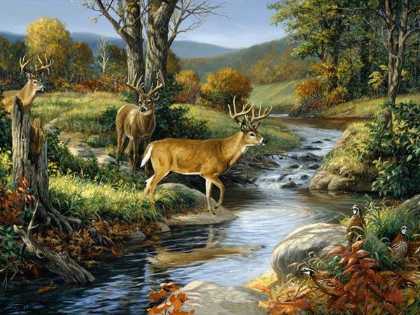 a2212 antelope 60*45 5d diy diamond embroidery painting home decor diamond crossing stitch 100% resin tool dril painting mosaic needlework
a2212 antelope 60*45 5d diy diamond embroidery painting home decor diamond crossing stitch 100% resin tool dril painting mosaic needlework