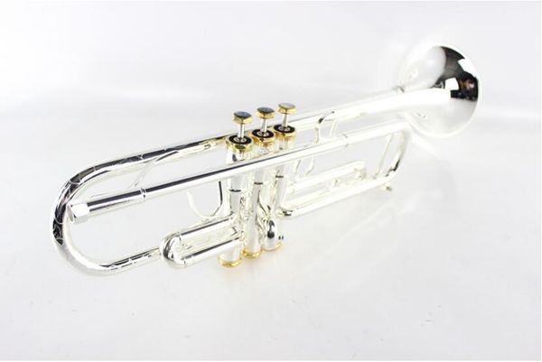 new arrival margewate lr197gs brass body silver plated and gold color bb trumpet instruments carved trumpet with mouthpiece2680
new arrival margewate lr197gs brass body silver plated and gold color bb trumpet instruments carved trumpet with mouthpiece2680