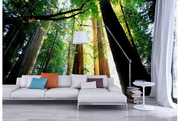 овѬеменне обои дл гоиной ле ие еевеннй пейзаж он ен 
овѬеменне обои дл гоиной ле ие еевеннй пейзаж он ен