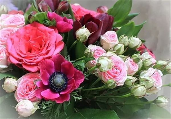 diy алмаз живопись вышивки крестом комплект горный хрусталь полный квадратный алмаз вышивка цветок роза главная мозаика украшения zxh1305
diy алмаз живопись вышивки крестом комплект горный хрусталь полный квадратный алмаз вышивка цветок роза главная мозаика украшения zxh1305
